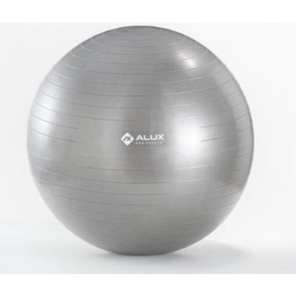 BOLA GINÁSTICA PREMIUM - 65CM