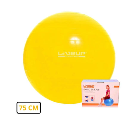 BOLA DE GINASTICA PREMIUM 75 CM AMAR - LIVEUP