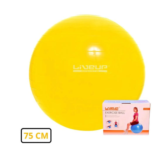 BOLA DE GINASTICA PREMIUM 75 CM AMAR - LIVEUP