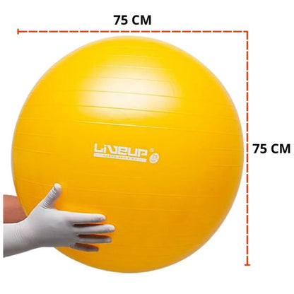 BOLA DE GINASTICA PREMIUM 75 CM AMAR - LIVEUP